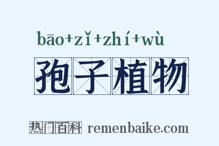 孢子植物是什么意思的图片